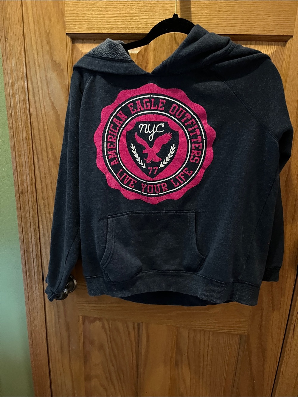 American Eagle Outfitters Dark Blue Hoodie with Pink Crest